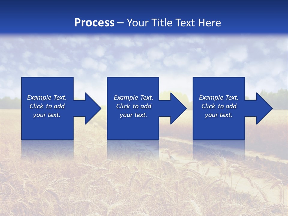 Wheat Field PowerPoint Template