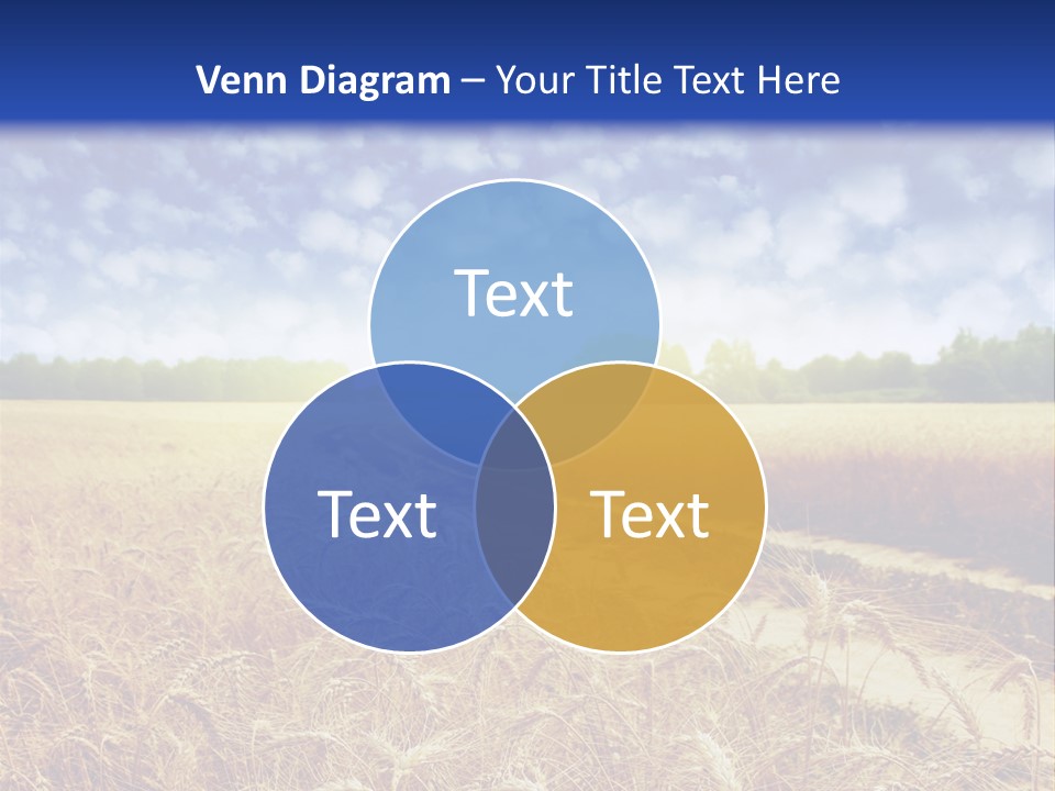 Wheat Field PowerPoint Template