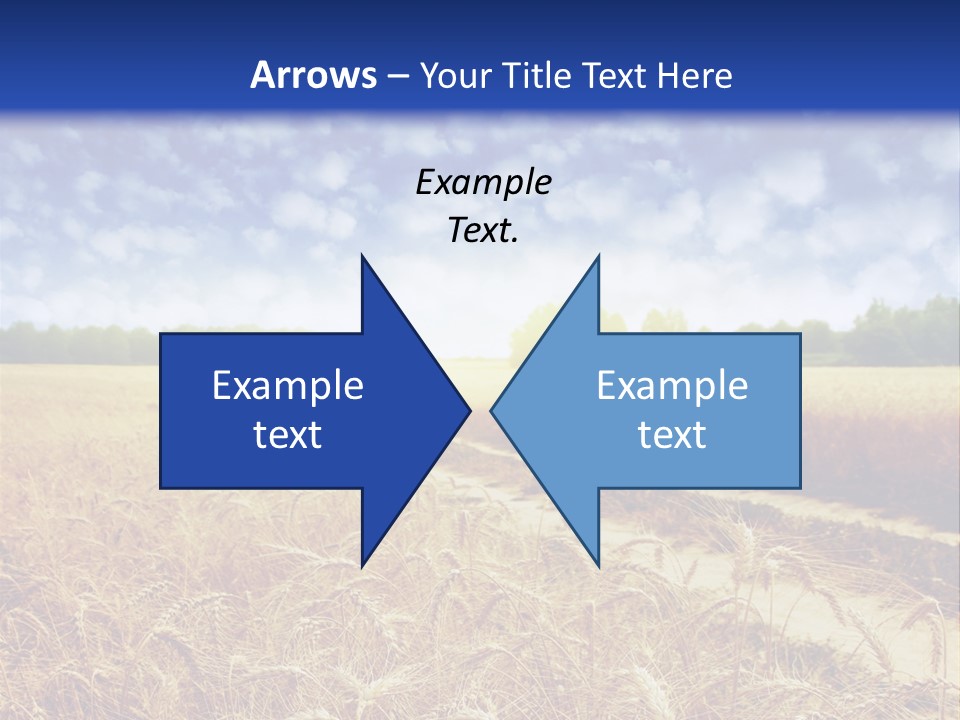 Wheat Field PowerPoint Template