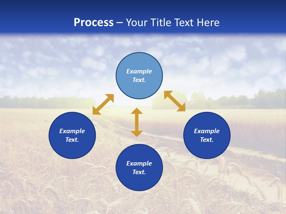 Wheat Field PowerPoint Template