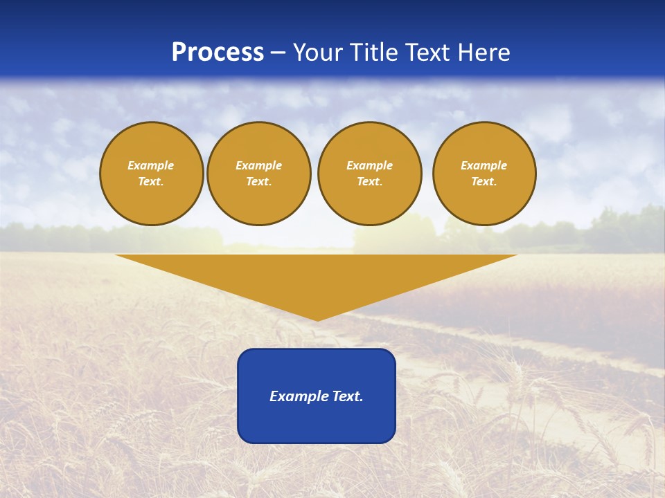 Wheat Field PowerPoint Template