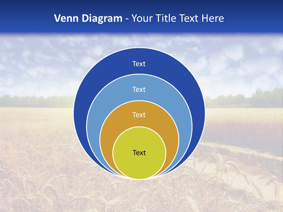 Wheat Field PowerPoint Template
