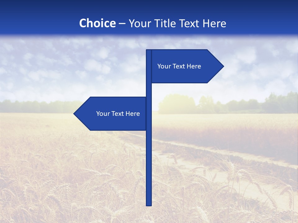 Wheat Field PowerPoint Template