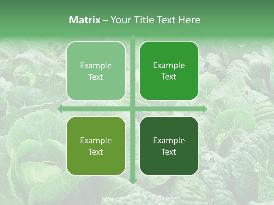 Closeup Homegrown Cultivated PowerPoint Template