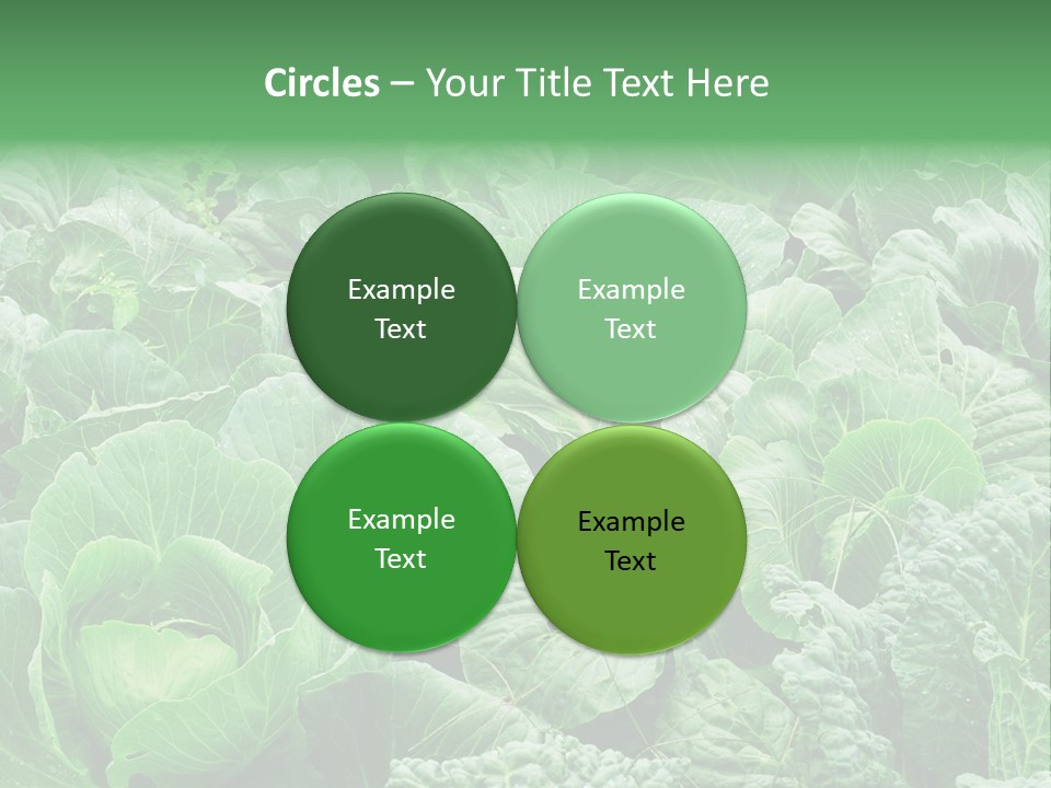 Closeup Homegrown Cultivated PowerPoint Template