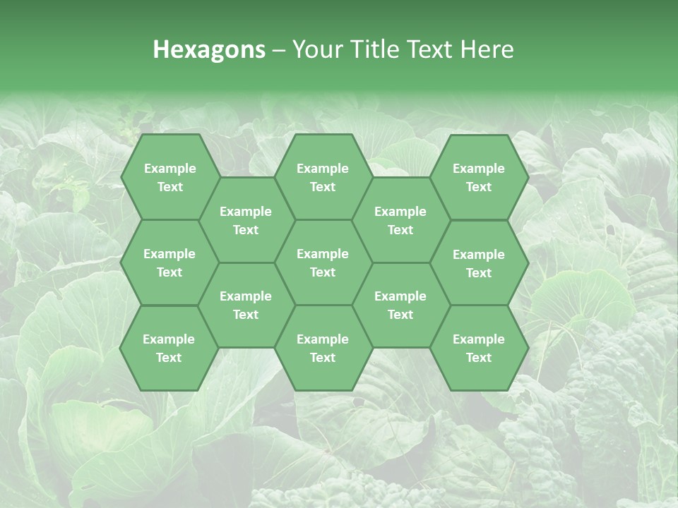 Closeup Homegrown Cultivated PowerPoint Template