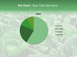 Closeup Homegrown Cultivated PowerPoint Template