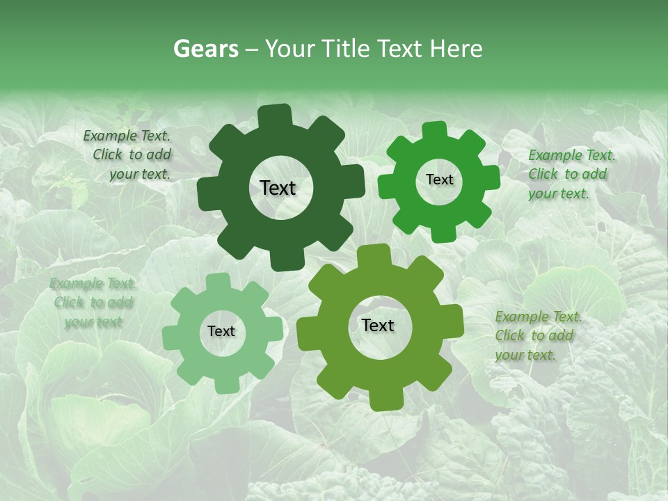 Closeup Homegrown Cultivated PowerPoint Template