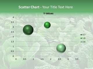 Closeup Homegrown Cultivated PowerPoint Template