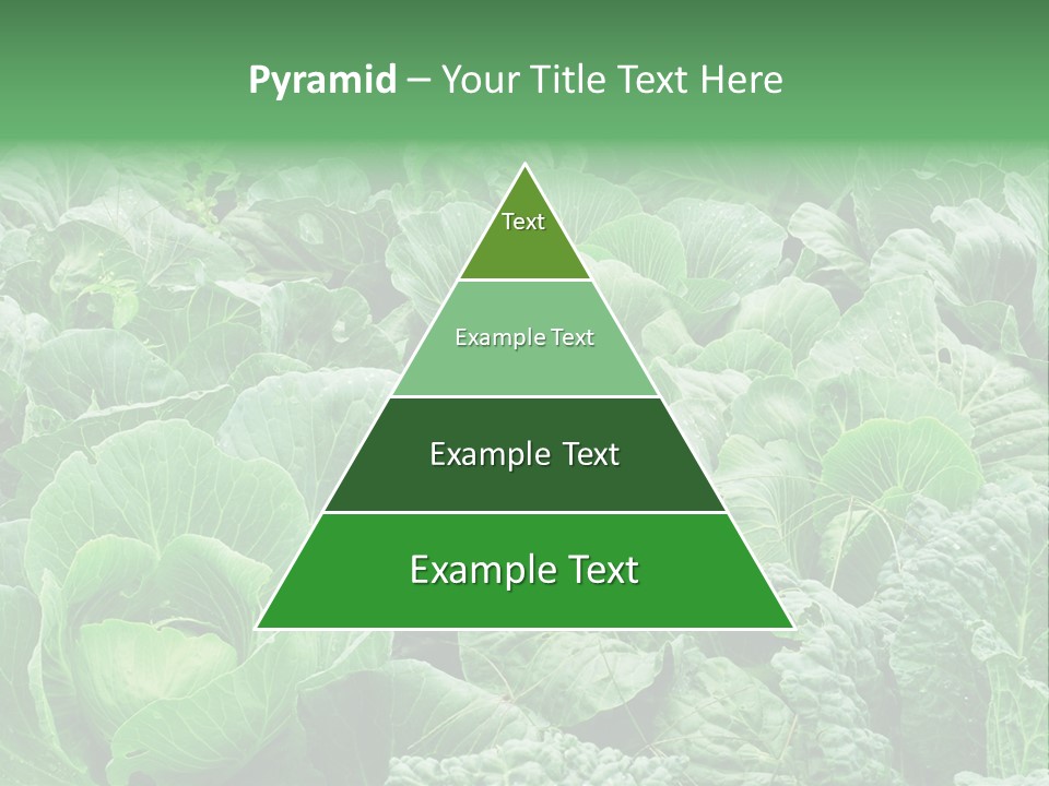 Closeup Homegrown Cultivated PowerPoint Template