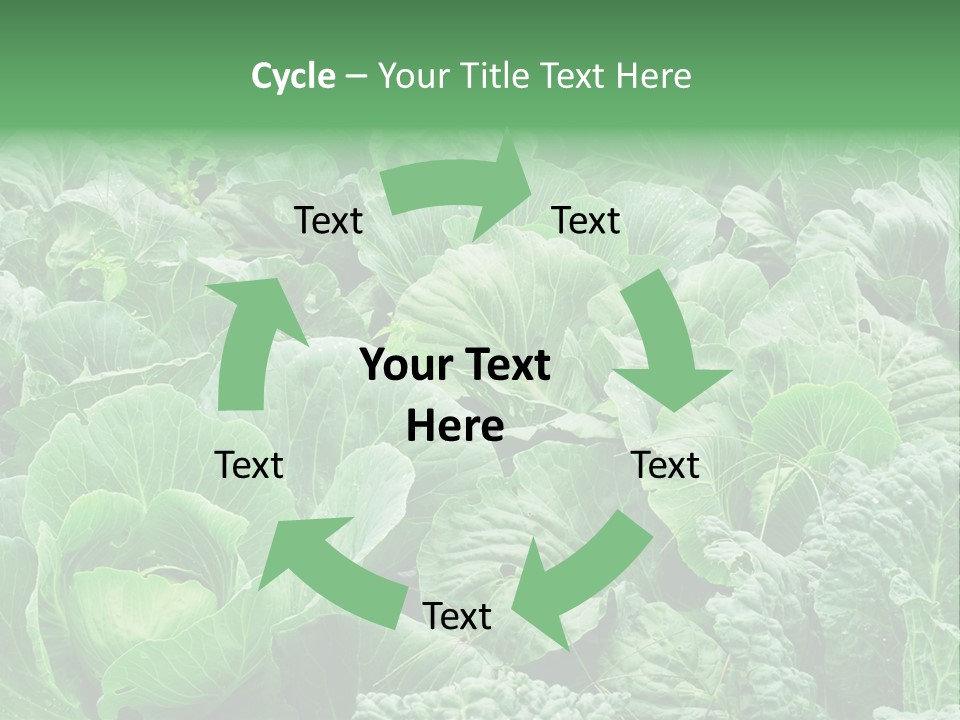Closeup Homegrown Cultivated PowerPoint Template