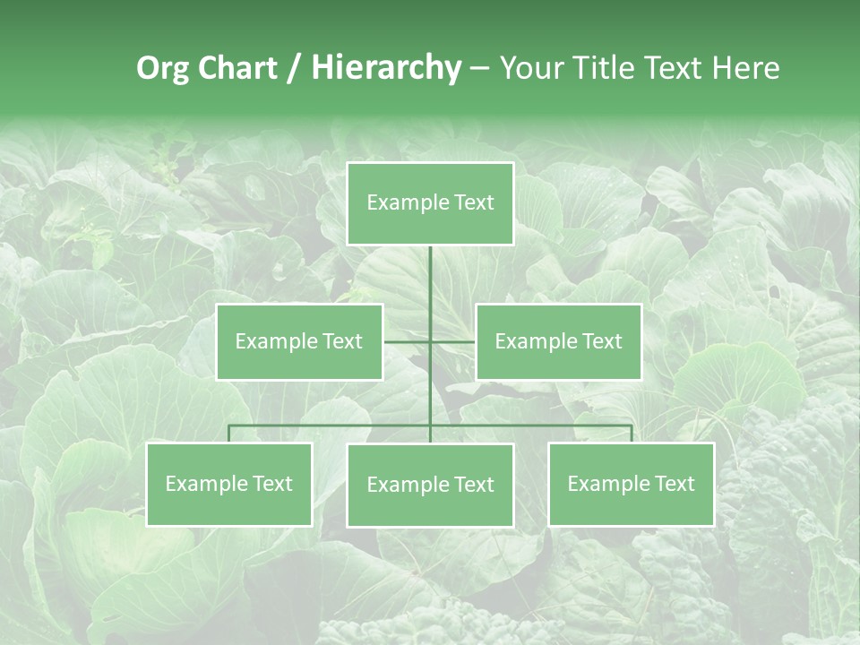 Closeup Homegrown Cultivated PowerPoint Template