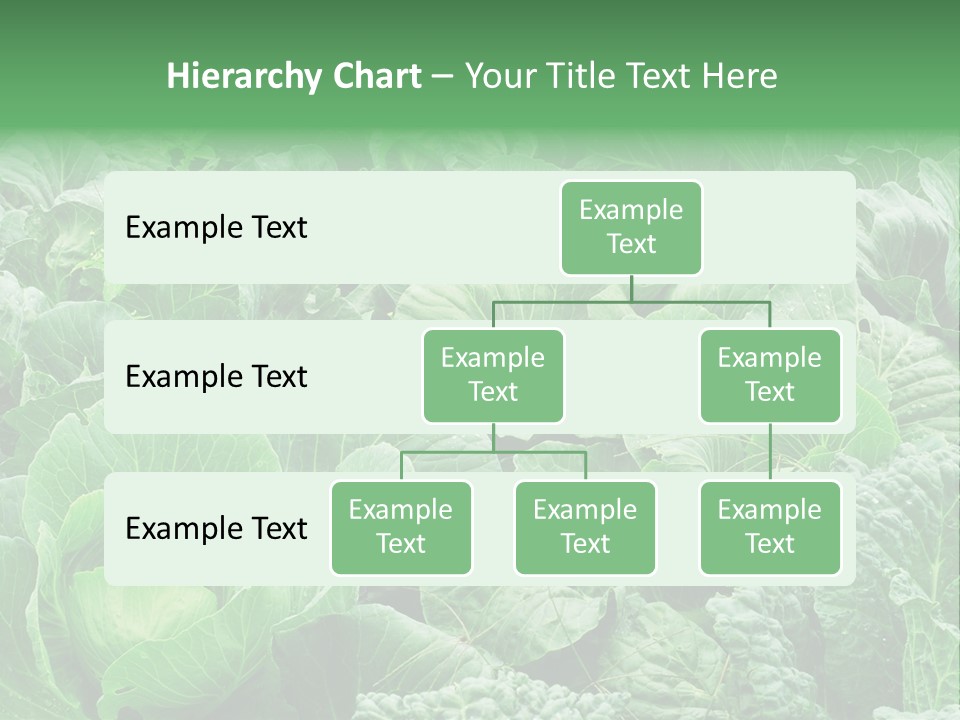 Closeup Homegrown Cultivated PowerPoint Template