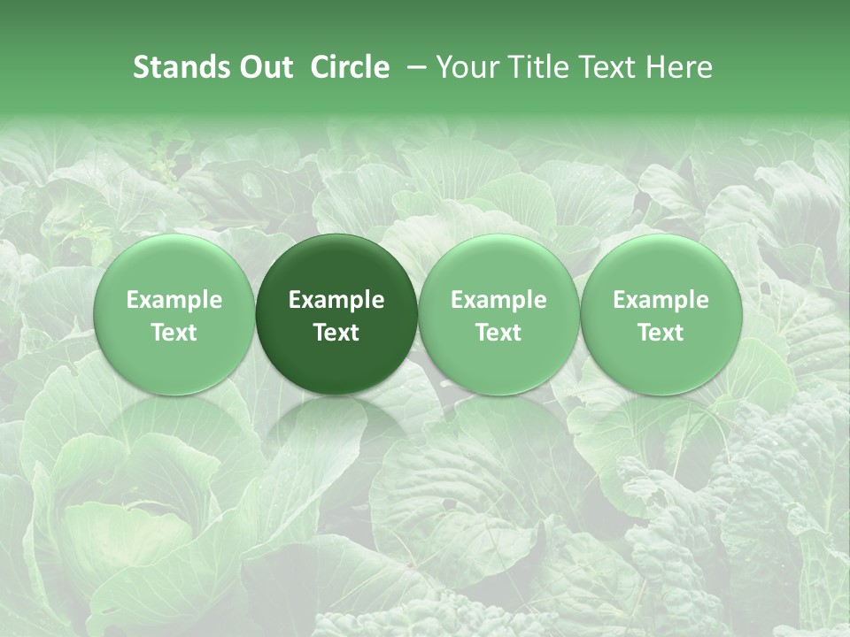 Closeup Homegrown Cultivated PowerPoint Template