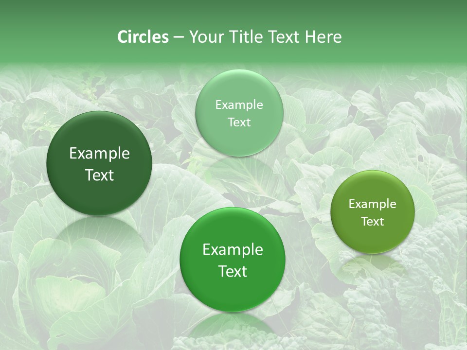 Closeup Homegrown Cultivated PowerPoint Template