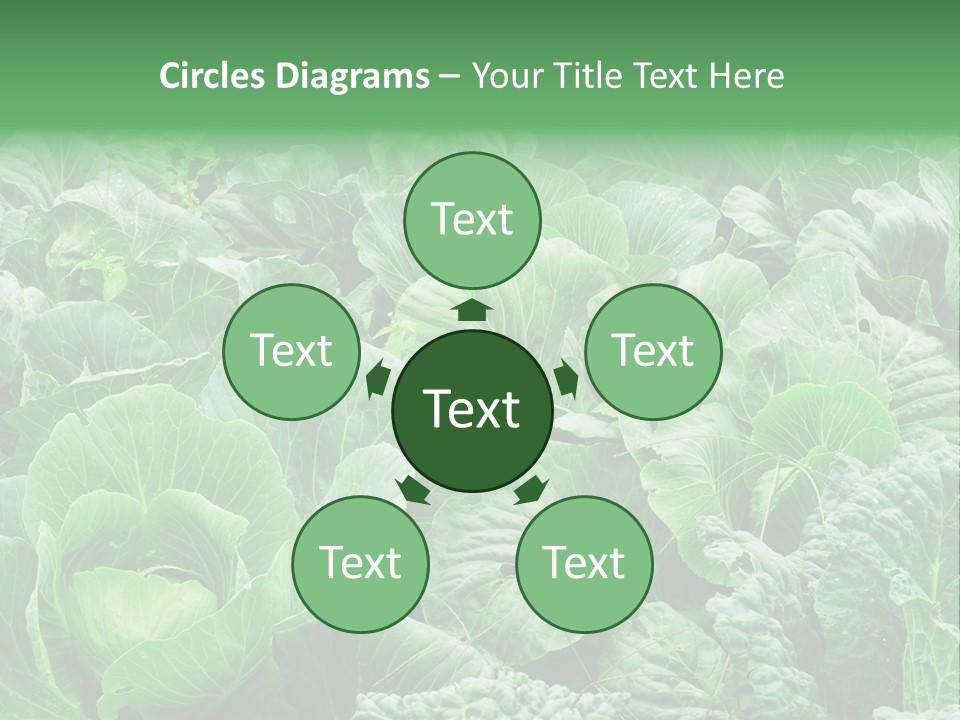 Closeup Homegrown Cultivated PowerPoint Template