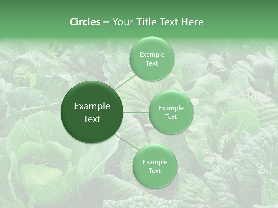 Closeup Homegrown Cultivated PowerPoint Template