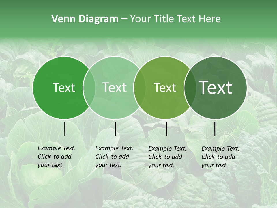 Closeup Homegrown Cultivated PowerPoint Template