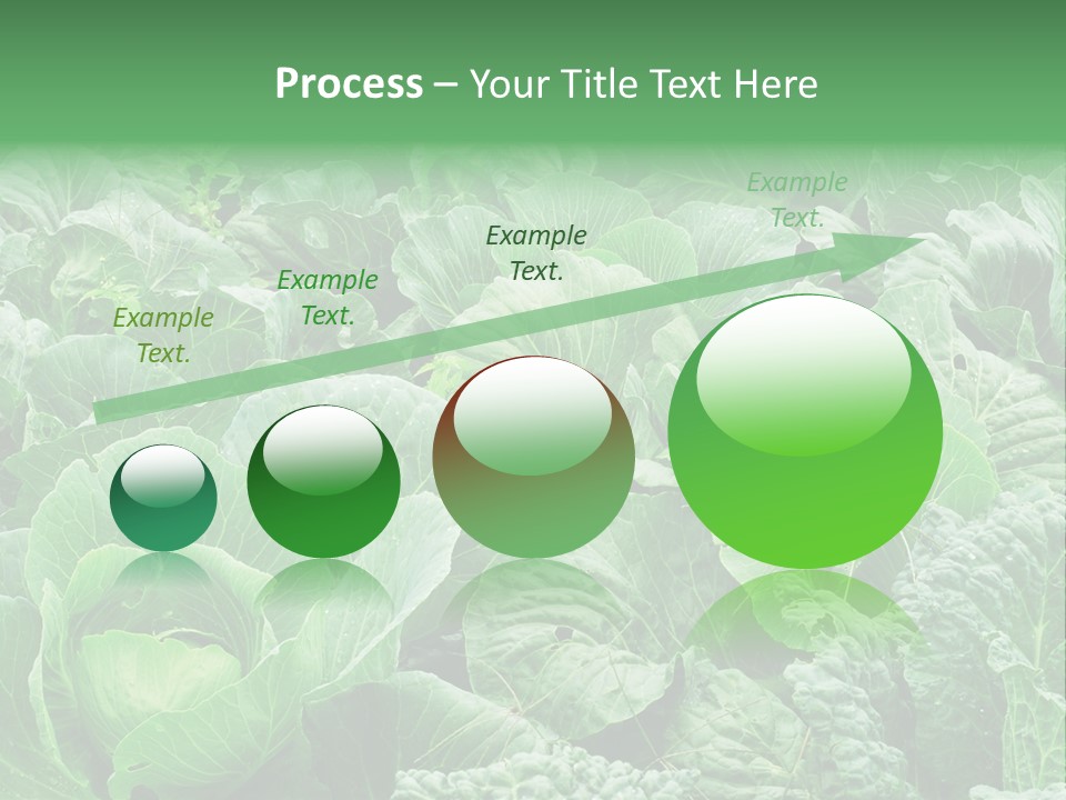 Closeup Homegrown Cultivated PowerPoint Template