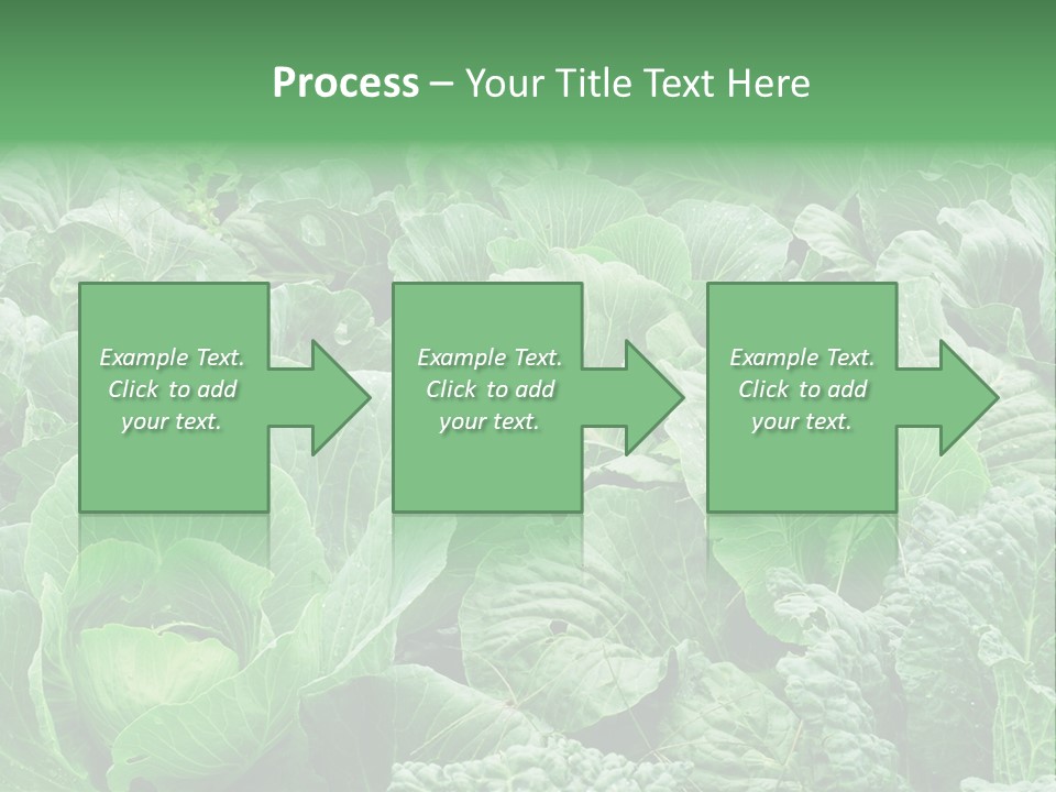 Closeup Homegrown Cultivated PowerPoint Template