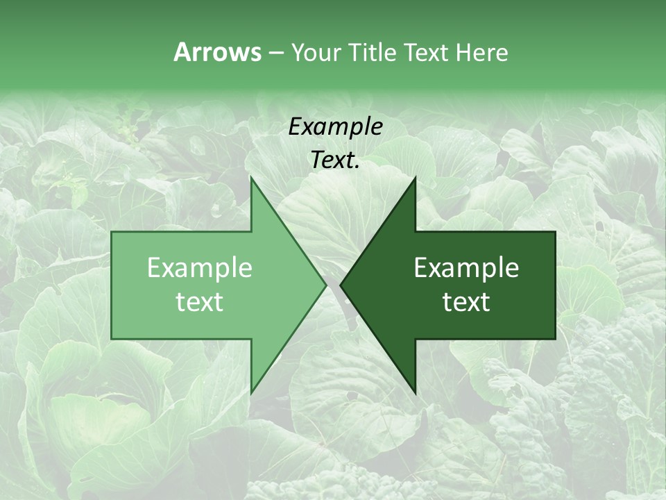 Closeup Homegrown Cultivated PowerPoint Template