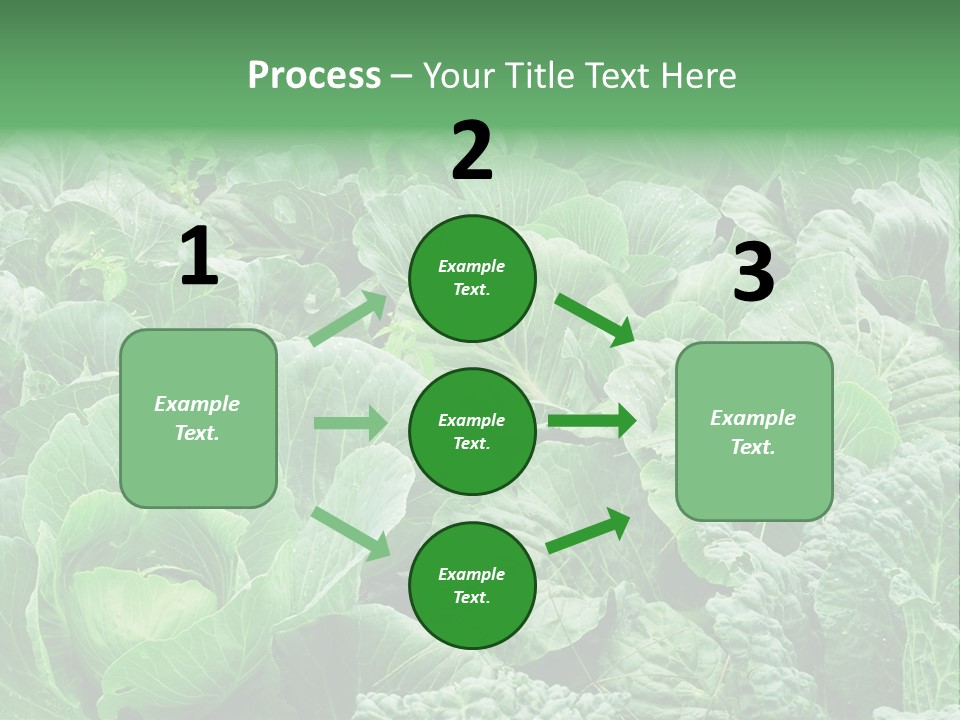 Closeup Homegrown Cultivated PowerPoint Template