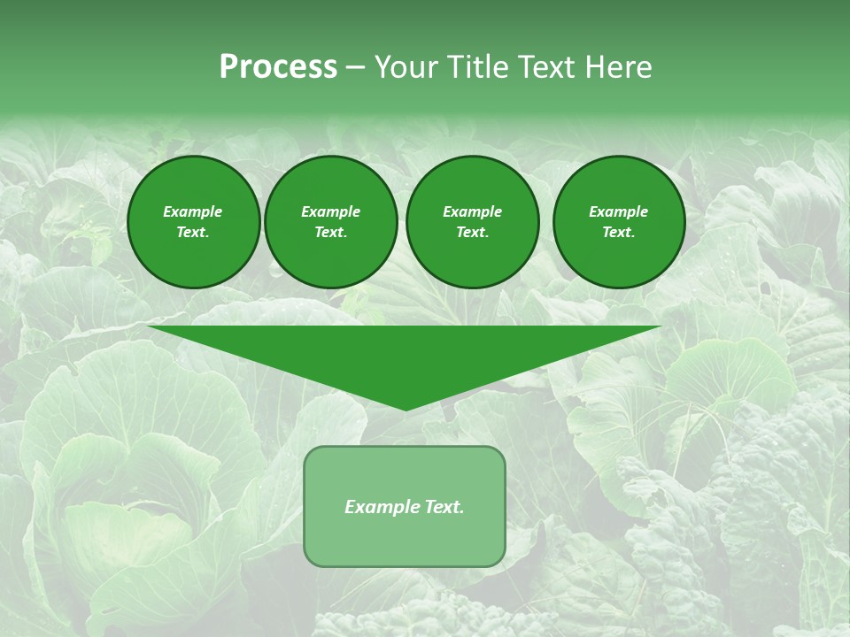 Closeup Homegrown Cultivated PowerPoint Template
