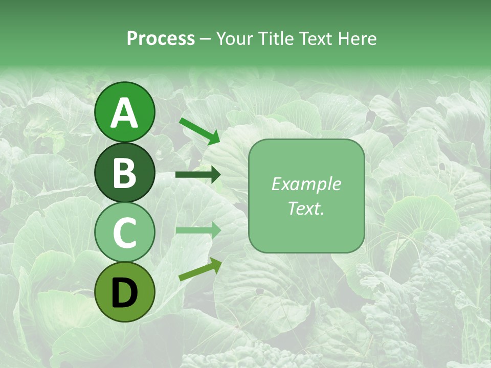 Closeup Homegrown Cultivated PowerPoint Template