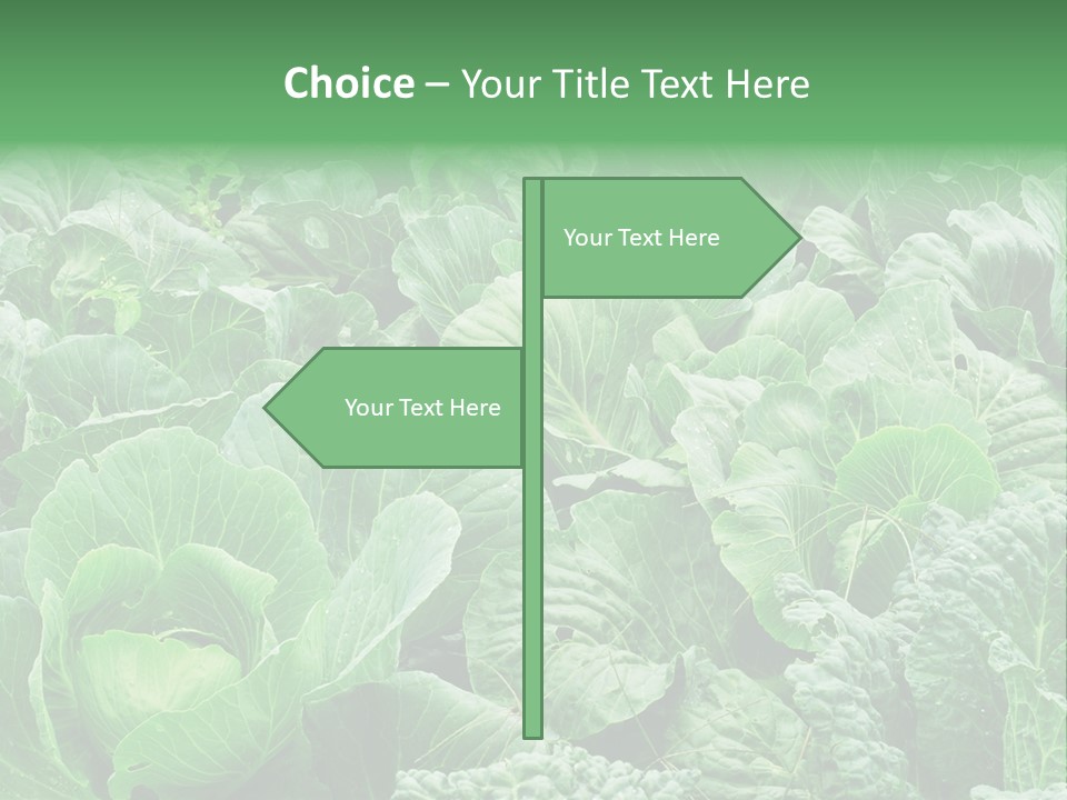 Closeup Homegrown Cultivated PowerPoint Template