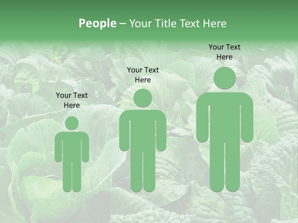 Closeup Homegrown Cultivated PowerPoint Template