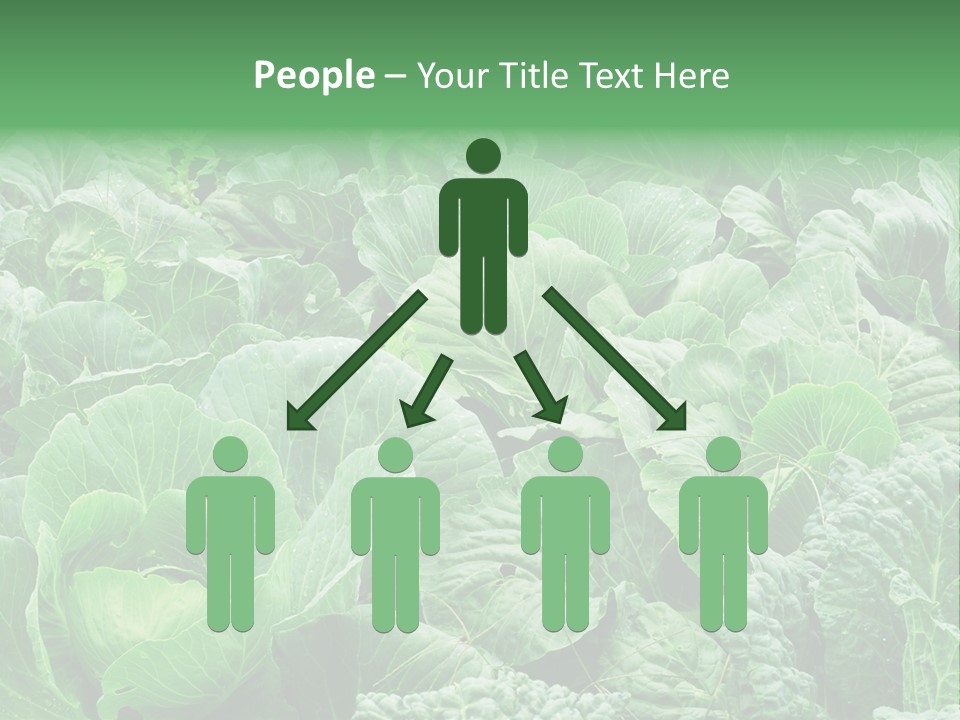 Closeup Homegrown Cultivated PowerPoint Template