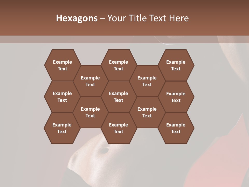 Weight Muscle One PowerPoint Template