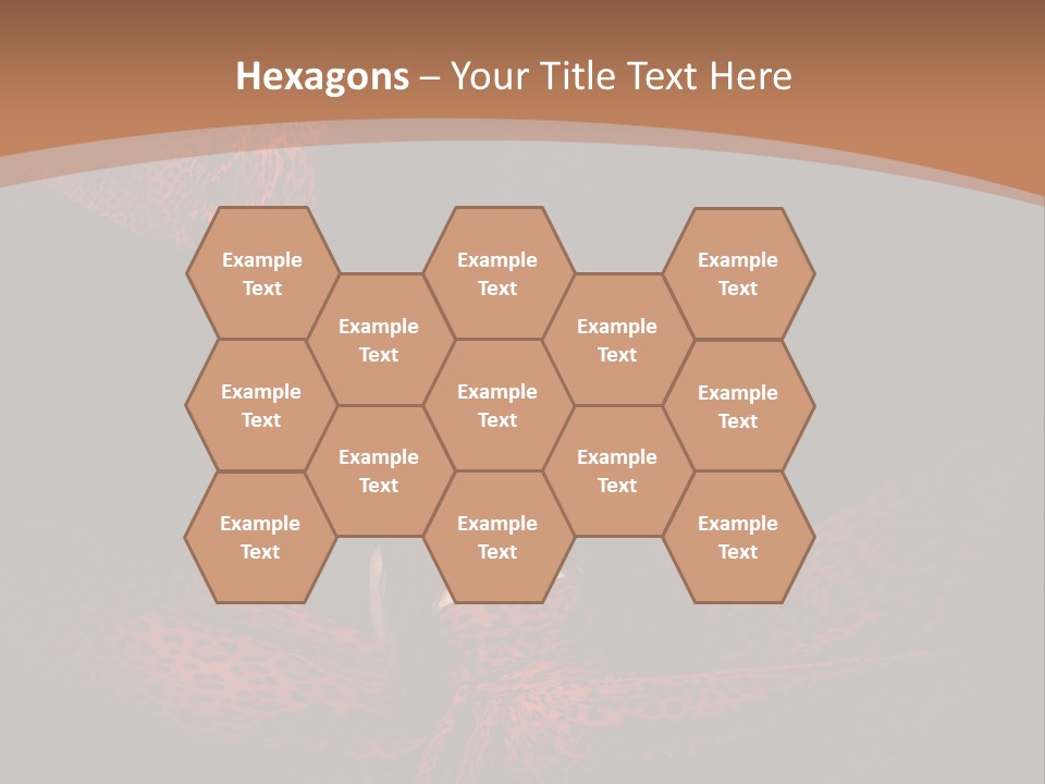 Woman In Red Dress PowerPoint Template