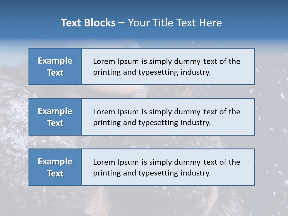 Cute Attractive Wonderful PowerPoint Template