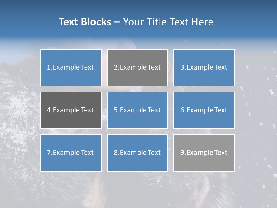 Cute Attractive Wonderful PowerPoint Template