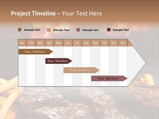 Parrilla Para Dos PowerPoint Template