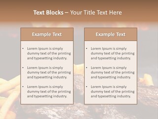 Parrilla Para Dos PowerPoint Template