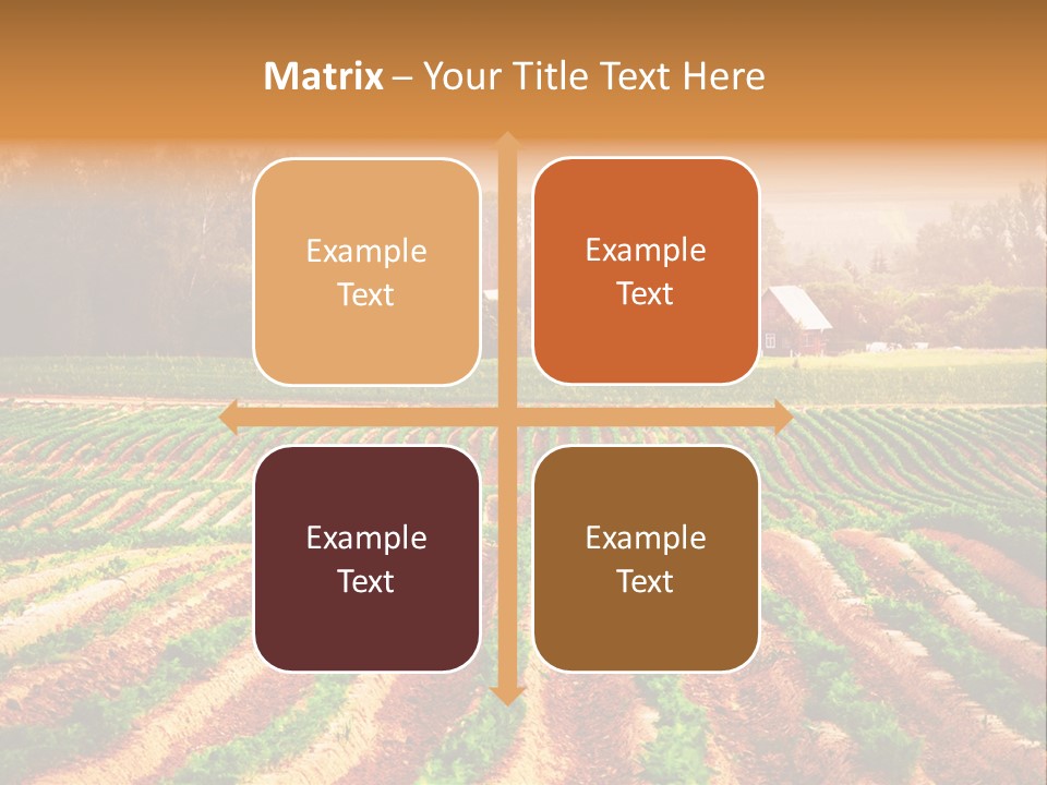 Tarım Arazisi PowerPoint Template