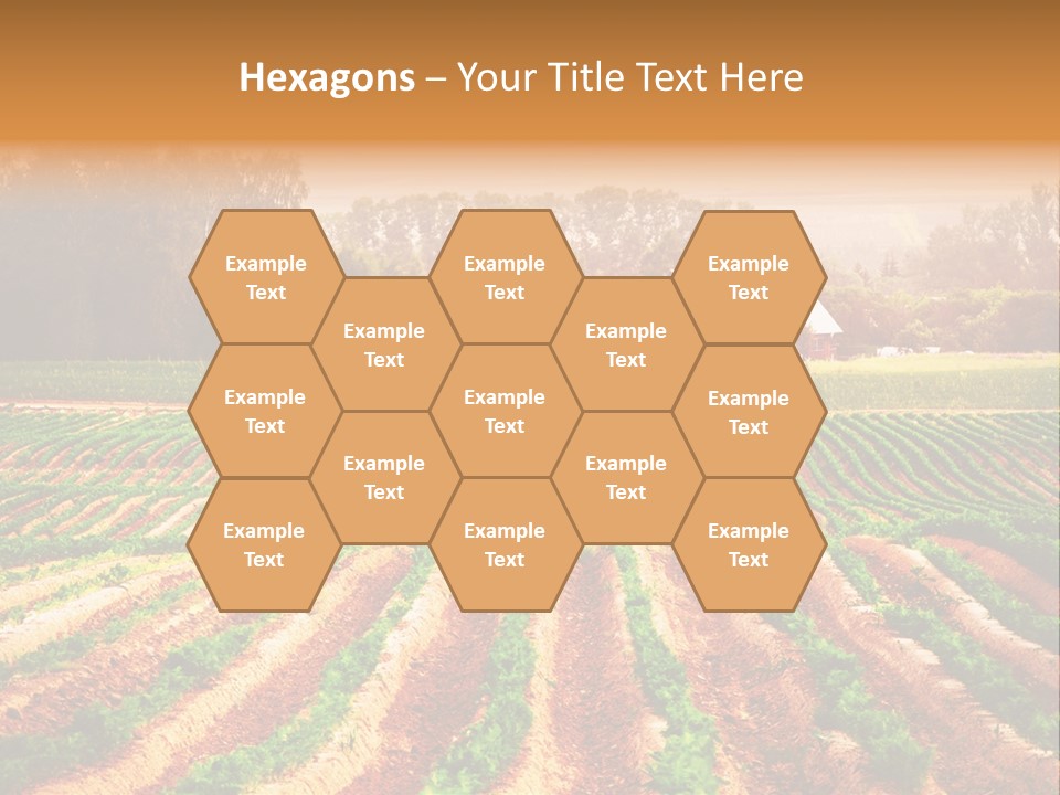 Tarım Arazisi PowerPoint Template