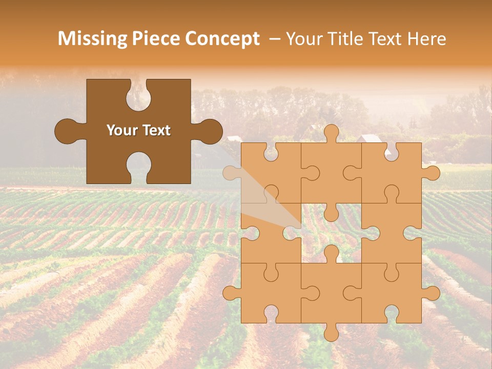 Tarım Arazisi PowerPoint Template