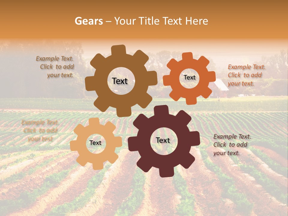 Tarım Arazisi PowerPoint Template