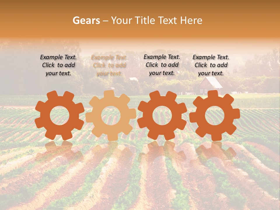 Tarım Arazisi PowerPoint Template