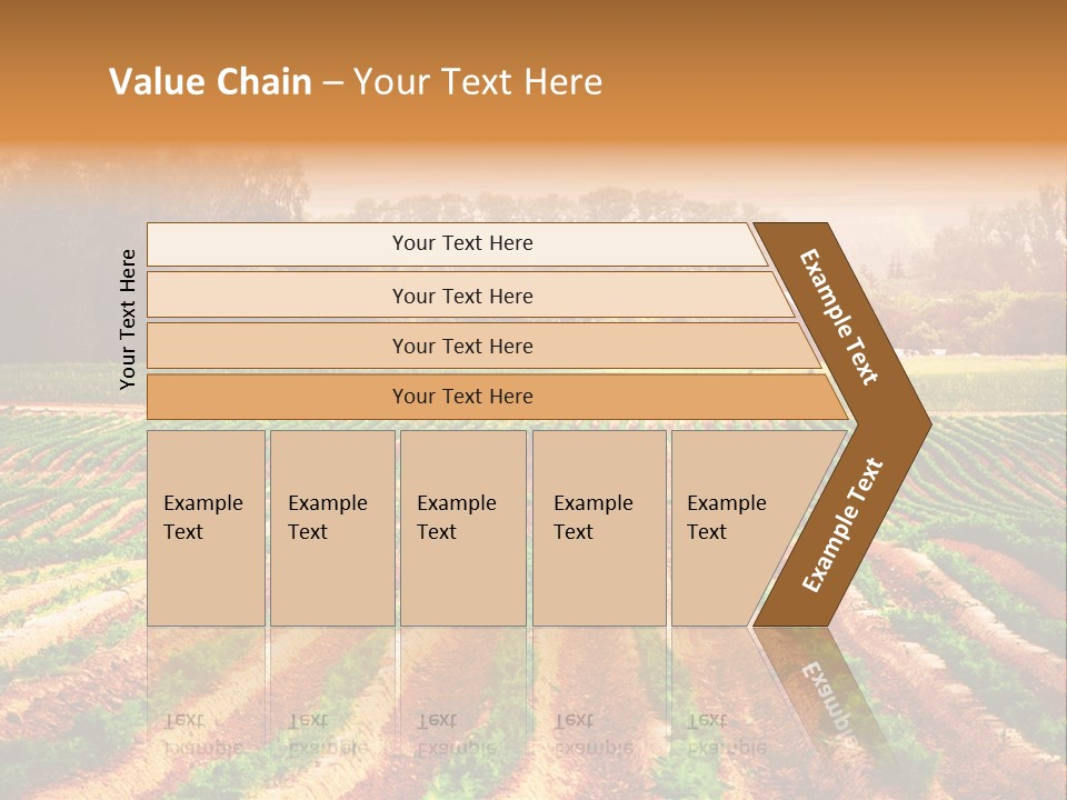 Tarım Arazisi PowerPoint Template