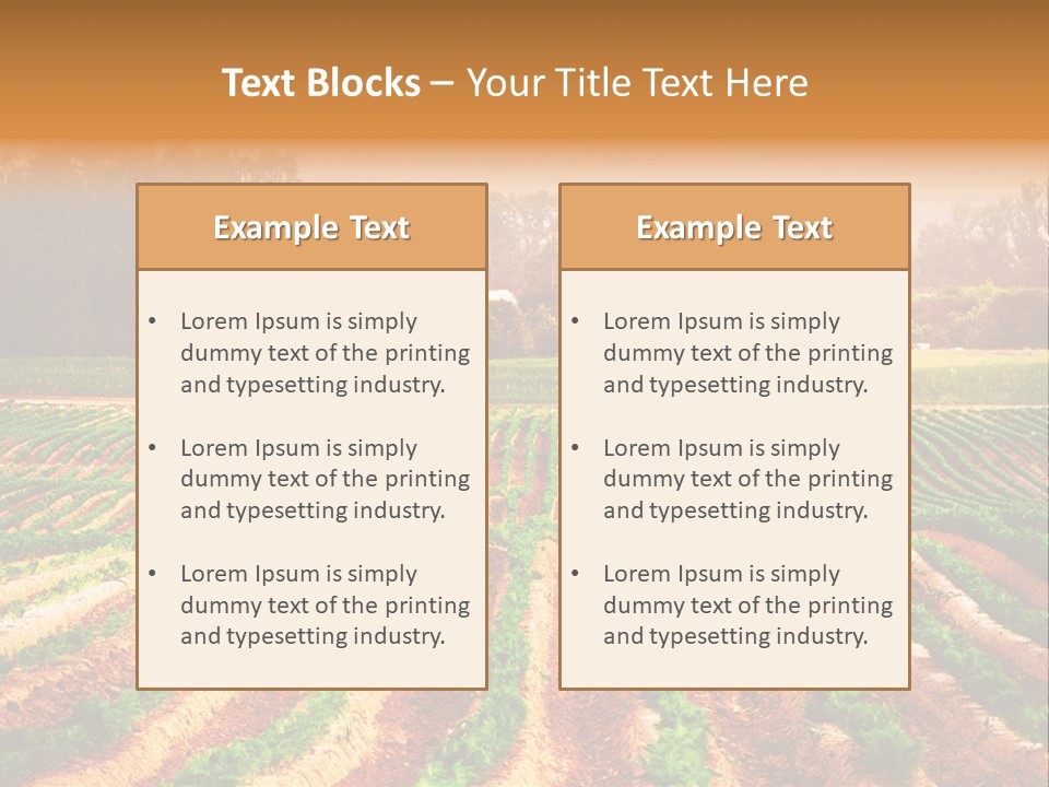 Tarım Arazisi PowerPoint Template