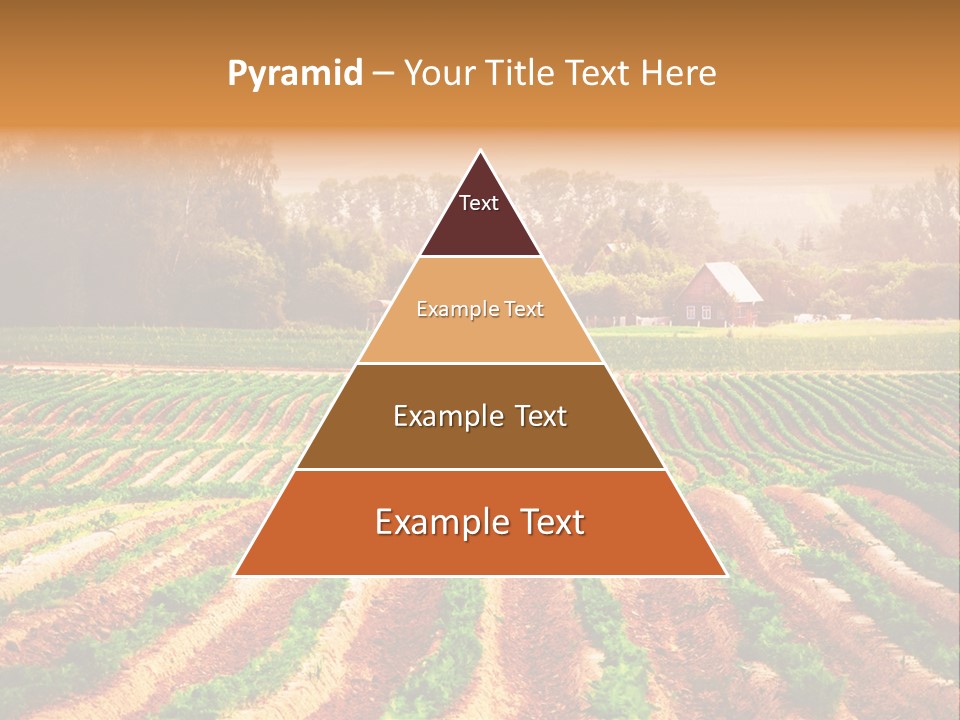 Tarım Arazisi PowerPoint Template