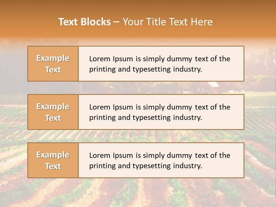 Tarım Arazisi PowerPoint Template