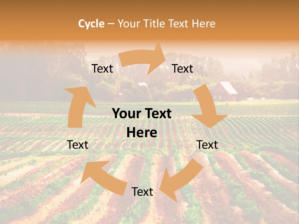 Tarım Arazisi PowerPoint Template