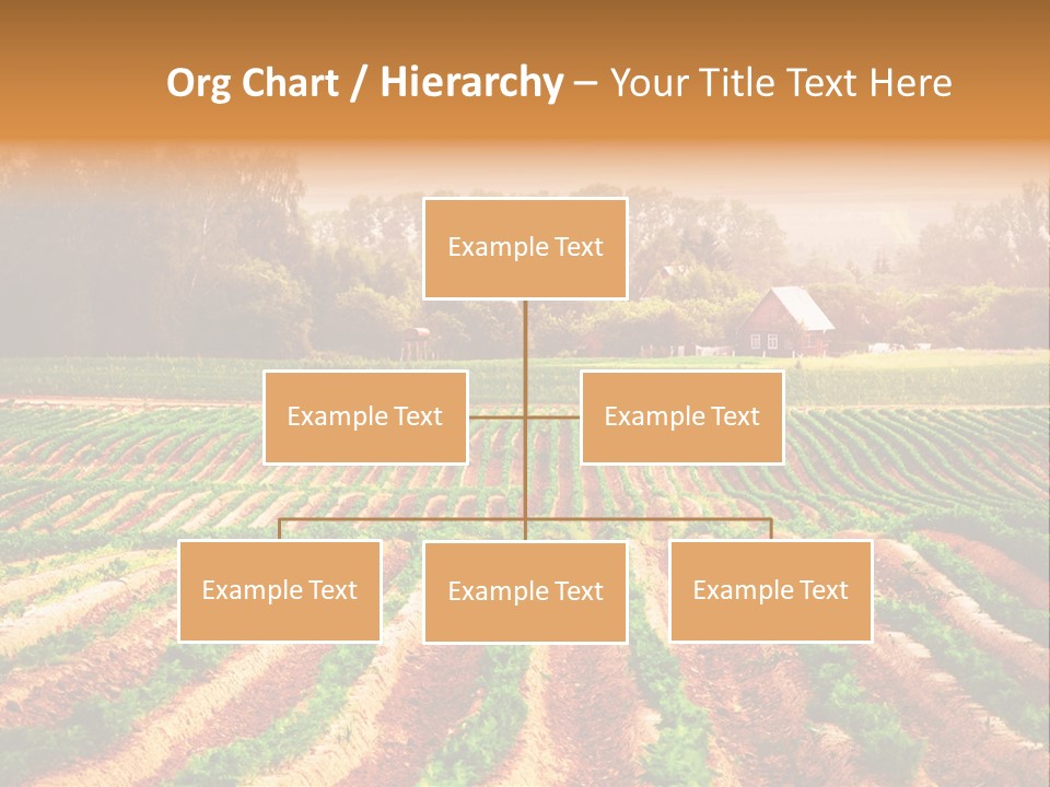 Tarım Arazisi PowerPoint Template