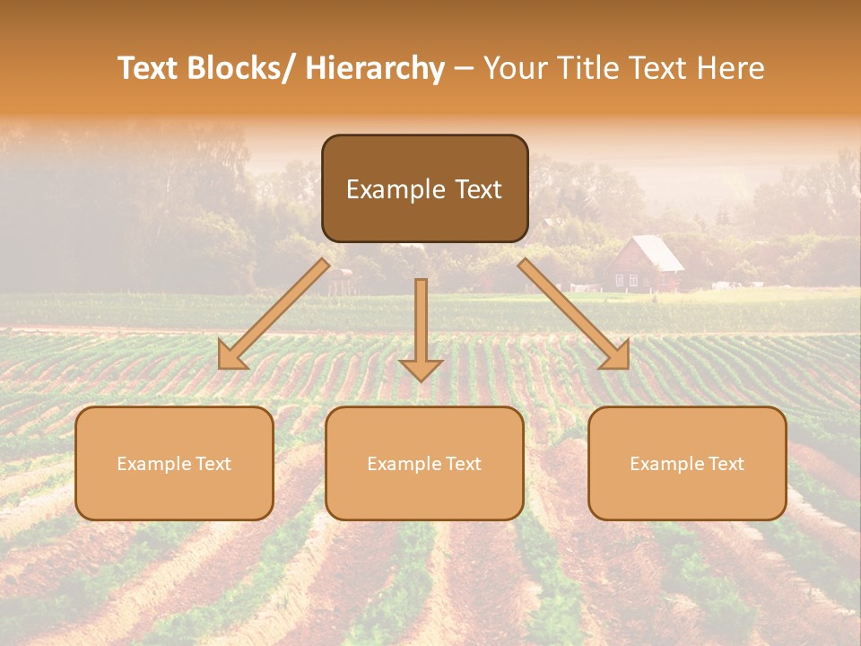 Tarım Arazisi PowerPoint Template