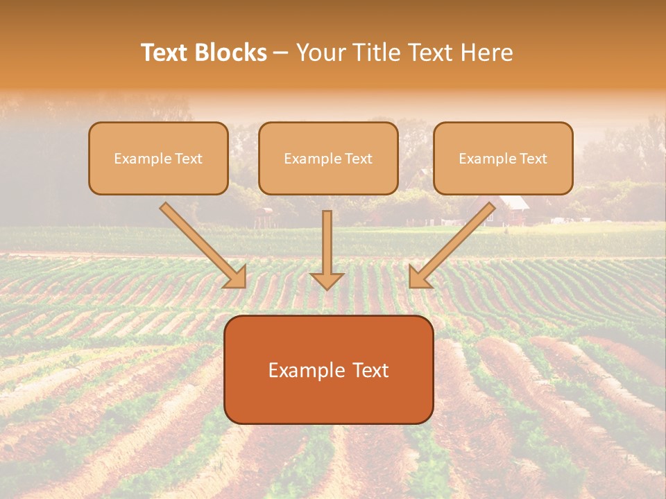Tarım Arazisi PowerPoint Template